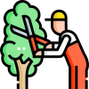 Gardening & Plantation